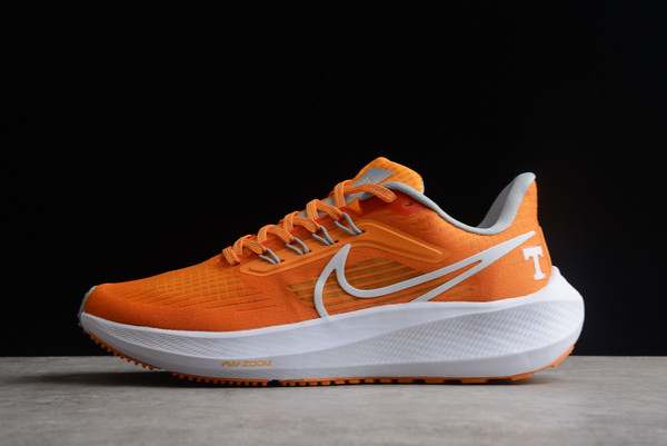 2022 Men's Nike Zoom Pegasus 39 Orange/White-Grey DR1975-800