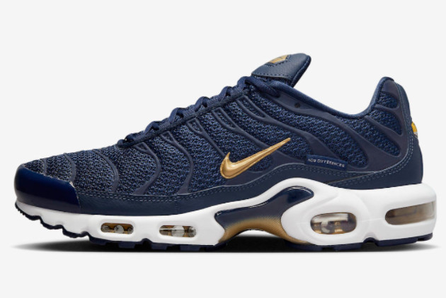 2023 Release Nike Air Max Plus “French Football Federation” FB3350-400
