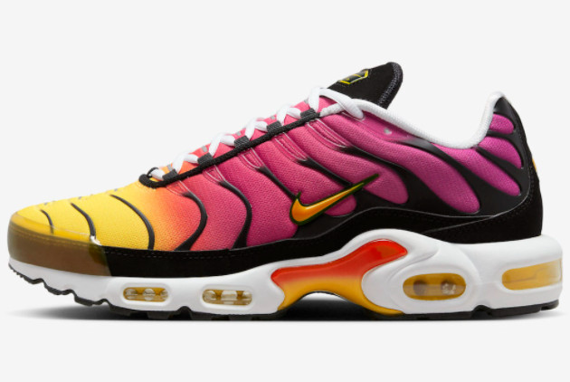 Latest 2023 Nike Air Max Plus Full Gradient For Sale DX0755-600
