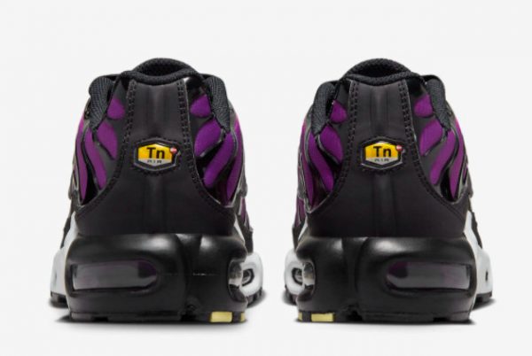 Fashion 2023 Nike Air Max Plus “Gradient” Black Purple Online FN3485-001-3