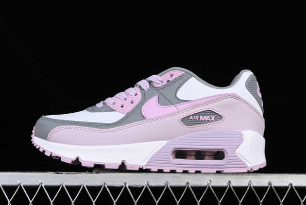Buy 2023 Nike Air Max 90 LTR Iced Lilac CD6864-002 Basketball Shoes